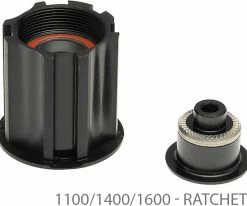 Dt-swiss Kit De Conversion Corps De Roue Libre CAMPAGNOLO 3 Cliquets/cliquet -vélo de route 1100 1400 1600 Ratchet 70718923