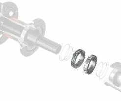 Dt-swiss Kit De Mise à Niveau Superlight 36T Pour Moyeux Star Ratchet 7 Dt-swiss Kit De Mise à Niveau Superlight 36T Pour Moyeux Star Ratchet -vélo de route DTSwiss Ratchet Kit 36 2